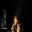 Bonfire - ALURIA Remix