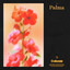 Palma - Extended Mix