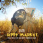 Ibiza Hippy Market cover