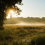 Misty Beauty - Tales of Vibrations