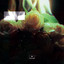 Garden City Movement - Thoughtcrime