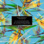 Sinisa Tamamovic — Up & Down cover art