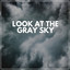 Look At the Gray Sky cover