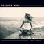 Healing Mind Emptiness – Meditate Deeply and Forget About Problems and Anxieties cover