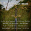 Battle of Evermore cover