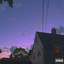 Violet cover