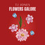 TJ JONES - FLOWERS GALORE