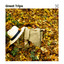 Great Trips cover