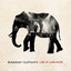 Blaudzun - Elephants - Live at Lowlands