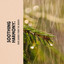Soothing Harmony: Rain Sounds from the Marsh cover
