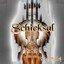 Schicksal cover