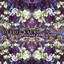 Adi Shakti cover