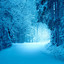 pov: its cold and almost christmas time cover