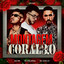 MONTAGEM CORAL 3.0