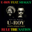 Rule The Nation - Groove Armada Remix