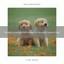 Tension Loosening Farm Noises For Stressed, Dearest Dogs cover