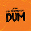 Dum cover