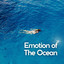 Emotion of the Ocean cover
