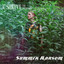 Summer Ransom cover