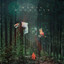 Terry Devine-King - Dance Of The Elves