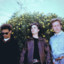 Radar of Small Dogs cover
