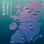 zZz Blissful Inspiring Rain Sounds zZz cover