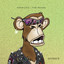 FEFO (IT) — The Rules cover art