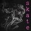skate cover