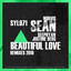 Beautiful Love - Ferjo De Gery Remix cover