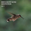 Birds White Noise Meditation Vol. 1 cover