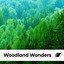 Woodland Wonders cover