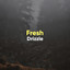 # 1 Album: Fresh Drizzle cover