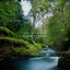Sleep Country - TimeToSwitch2026 TOF 25OffUniversal - .