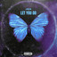 Let You Go