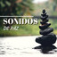 Sonidos de Paz - Música para Eliminar el Dolor de Cabeza cover