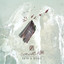 Skin & Bone cover