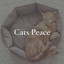 Cats Peace cover