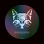 Burning Up - Gruvi Remix