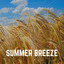 Summer Breeze cover