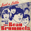 Beau Brummels - Cry Just A Little