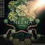 Neema - Radio Edit artwork