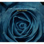 Blue Rose cover