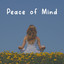 Peace of Mind cover