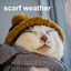 scarf weather cover
