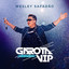Garota Vip Rio de Janeiro (Ao Vivo) cover