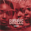 Background Afrobeats - Palm Breeze