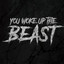 You Woke Up The Beast cover