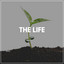 The Life cover