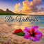De Vallenato cover