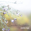 Consider the Flowers cover